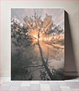 Πίνακας, Sunlight Through the Trees Το φως του ήλιου μέσα από τα δέντρα