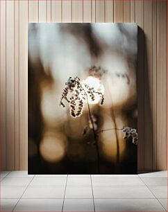 Πίνακας, Sunlit Dried Flowers Ηλιόλουστα αποξηραμένα λουλούδια