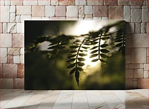 Πίνακας, Sunlit Fern Leaves Ηλιόλουστα φύλλα φτέρης