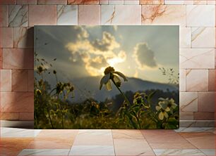 Πίνακας, Sunlit Flower at Dusk Ηλιοφώτιστο λουλούδι στο σούρουπο