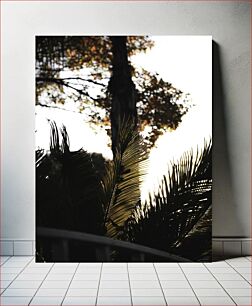 Πίνακας, Sunlit Foliage Ηλιόλουστο φύλλωμα