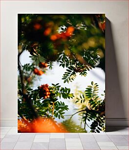 Πίνακας, Sunlit Foliage with Orange Berries Ηλιόλουστο φύλλωμα με μούρα πορτοκαλιού