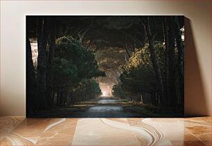 Πίνακας, Sunlit Forest Path Ηλιόλουστο δασικό μονοπάτι