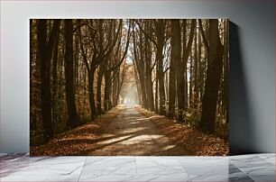 Πίνακας, Sunlit Forest Path Ηλιόλουστο Δασικό Μονοπάτι