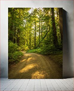 Πίνακας, Sunlit Forest Path Ηλιόλουστο Δασικό Μονοπάτι