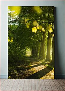 Πίνακας, Sunlit Forest Path Ηλιόλουστο Δασικό Μονοπάτι