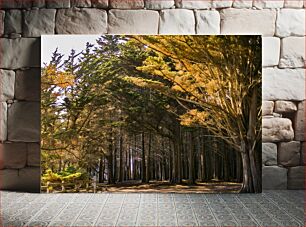 Πίνακας, Sunlit Forest Pathway Sunlit Forest Pathway