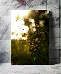 Πίνακας, Sunlit Grass in Dawn Ηλιοφώτιστο γρασίδι στην αυγή