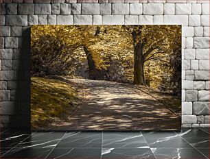 Πίνακας, Sunlit Path through Autumn Forest Ηλιόλουστο μονοπάτι μέσα από το φθινοπωρινό δάσος