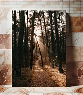Πίνακας, Sunlit Path Through the Forest Ηλιόλουστο μονοπάτι μέσα από το δάσος
