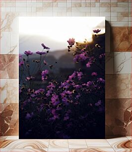 Πίνακας, Sunlit Purple Flowers Ηλιόλουστα Μωβ Λουλούδια