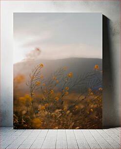 Πίνακας, Sunlit Wildflowers Ηλιόλουστα αγριολούλουδα