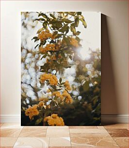 Πίνακας, Sunlit Yellow Flowers Ηλιόλουστα κίτρινα λουλούδια