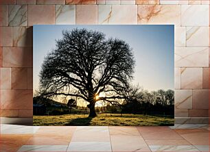 Πίνακας, Sunrise Behind a Tree Ανατολή πίσω από ένα δέντρο