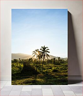 Πίνακας, Sunrise over Tropical Landscape Ανατολή του ηλίου πάνω από το τροπικό τοπίο