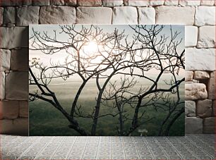Πίνακας, Sunrise Through Bare Trees Ανατολή μέσα από γυμνά δέντρα