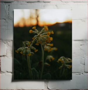 Πίνακας, Sunset and Wildflowers Ηλιοβασίλεμα και αγριολούλουδα