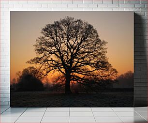 Πίνακας, Sunset Behind Bare Tree Ηλιοβασίλεμα πίσω από γυμνό δέντρο