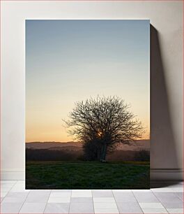 Πίνακας, Sunset Behind Trees Ηλιοβασίλεμα πίσω από δέντρα
