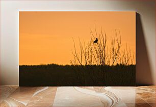 Πίνακας, Sunset Bird in Winter Trees Ηλιοβασίλεμα πουλί σε χειμερινά δέντρα