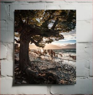 Πίνακας, Sunset by the Tree and Sea Ηλιοβασίλεμα δίπλα στο δέντρο και στη θάλασσα