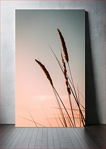 Πίνακας, Sunset Grasses Χόρτα ηλιοβασιλέματος