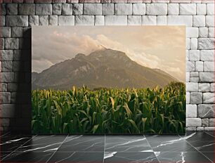 Πίνακας, Sunset Over Cornfield and Mountains Ηλιοβασίλεμα πάνω από το Cornfield και τα βουνά