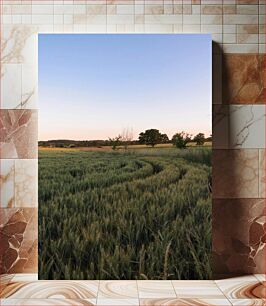 Πίνακας, Sunset Over the Wheat Field Ηλιοβασίλεμα πάνω από το σιτάρι