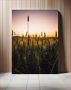 Πίνακας, Sunset over Wheat Field Ηλιοβασίλεμα πάνω από το χωράφι σίτου