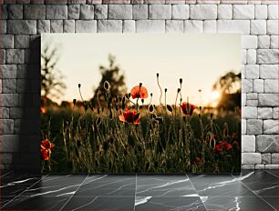 Πίνακας, Sunset Poppies Ηλιοβασίλεμα Παπαρούνες