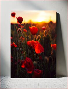 Πίνακας, Sunset Poppies Ηλιοβασίλεμα Παπαρούνες