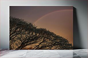 Πίνακας, Sunset Rainbow Over Tree Canopy Ηλιοβασίλεμα Ουράνιο Τόξο πάνω από το κουβούκλιο του δέντρου