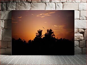 Πίνακας, Sunset Silhouette Sunset Silhouette