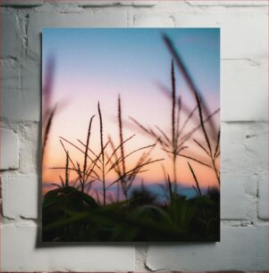 Πίνακας, Sunset Through Grass Ηλιοβασίλεμα μέσα από το γρασίδι