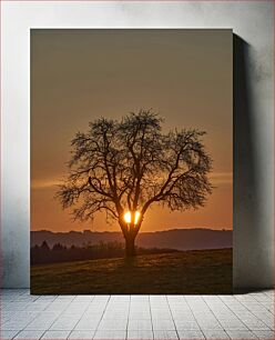 Πίνακας, Sunset Through the Tree Ηλιοβασίλεμα μέσα από το δέντρο