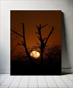 Πίνακας, Sunset Through the Trees Ηλιοβασίλεμα μέσα από τα δέντρα
