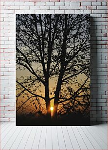 Πίνακας, Sunset Through Tree Sunset Through Tree