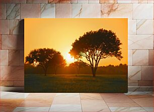 Πίνακας, Sunset Through Trees Ηλιοβασίλεμα μέσα από δέντρα