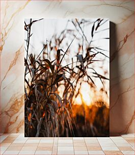 Πίνακας, Sunset through Wild Grasses Ηλιοβασίλεμα μέσα από άγρια ​​χόρτα