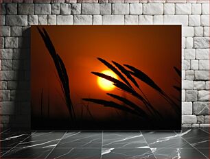 Πίνακας, Sunset Wheat Field Ηλιοβασίλεμα σιτάρι