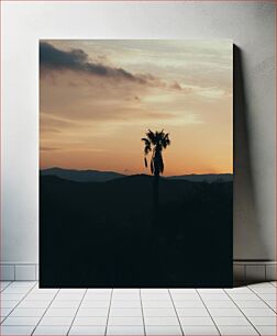 Πίνακας, Sunset with Palm Tree Silhouette Ηλιοβασίλεμα με σιλουέτα φοίνικα