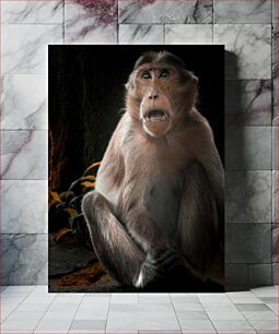 Πίνακας, Surprised Monkey Expression Έκφραση έκπληκτης μαϊμού