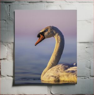 Πίνακας, Swan at Sunrise Κύκνος στην Ανατολή