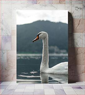 Πίνακας, Swan by the Lake Κύκνος δίπλα στη λίμνη