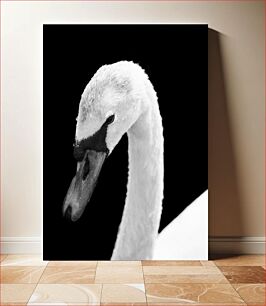 Πίνακας, Swan in Black and White Κύκνος σε ασπρόμαυρο