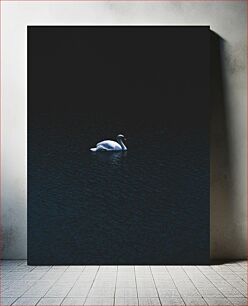 Πίνακας, Swan on a Dark Lake Κύκνος σε μια σκοτεινή λίμνη