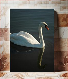 Πίνακας, Swan on a Serene Lake Κύκνος σε μια γαλήνια λίμνη