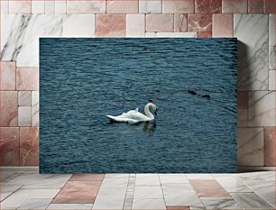 Πίνακας, Swan on a Tranquil Lake Κύκνος σε μια ήρεμη λίμνη