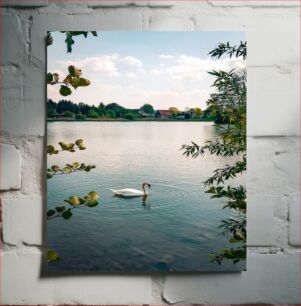 Πίνακας, Swan on a Tranquil Lake Κύκνος σε μια ήρεμη λίμνη