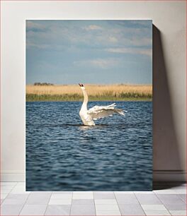Πίνακας, Swan on the Lake Κύκνος στη λίμνη